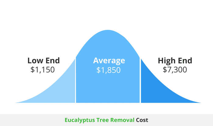 cost to remove a eucalyptus tree infographic