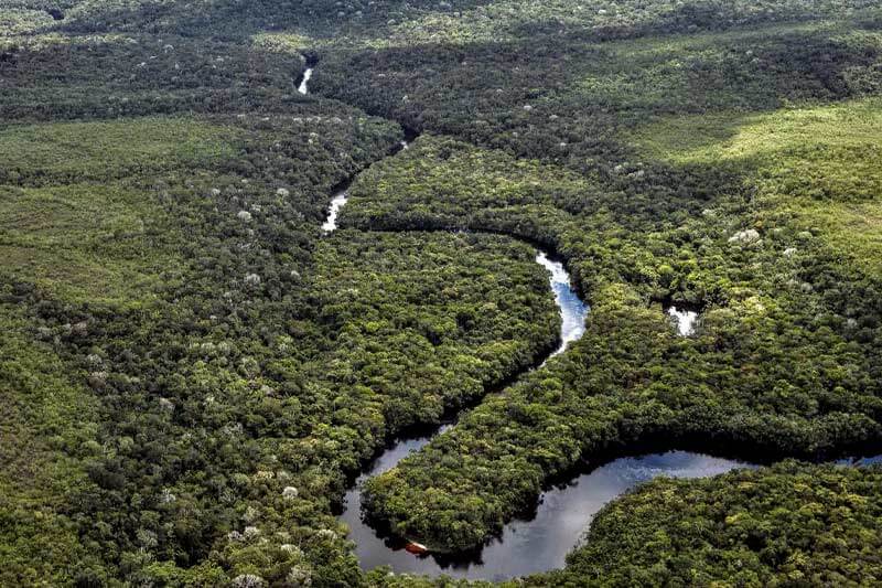 Are There More Trees Now Than 100 Years Ago