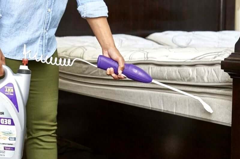Does Pest Control Kill Bed Bugs