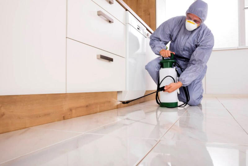 How long does a termite treatment last