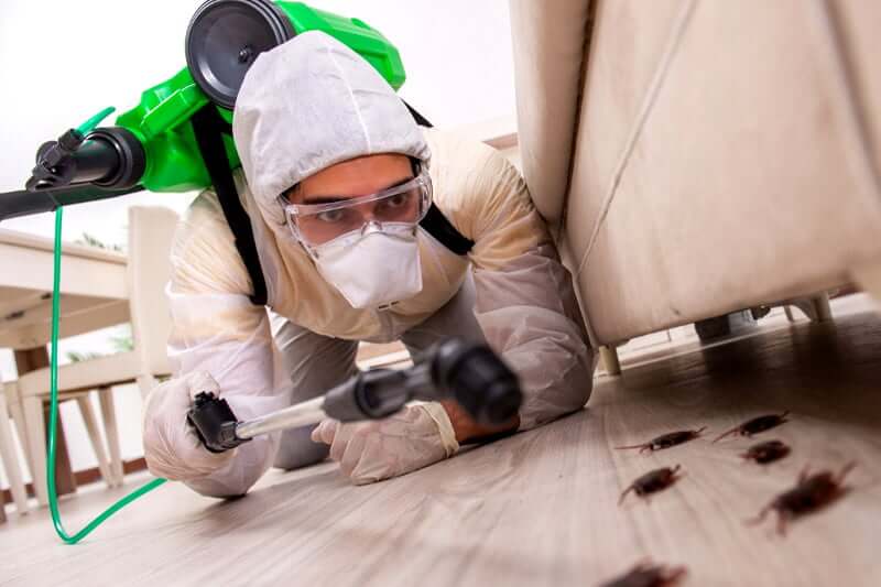 What do exterminators use for roaches