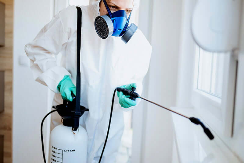 What happens after a pest control treatment