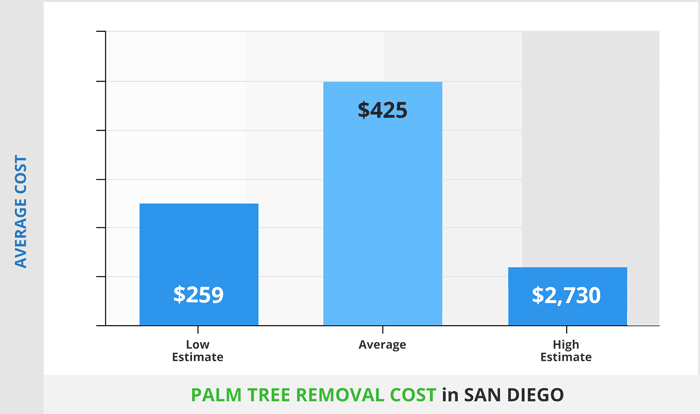 palm tree removal san diego infographic