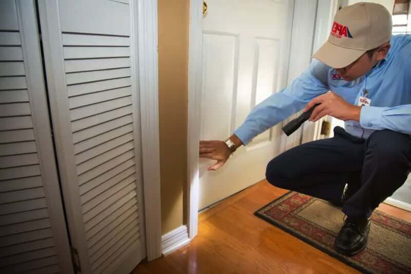 Are Monthly Visits By Exterminators Necessary