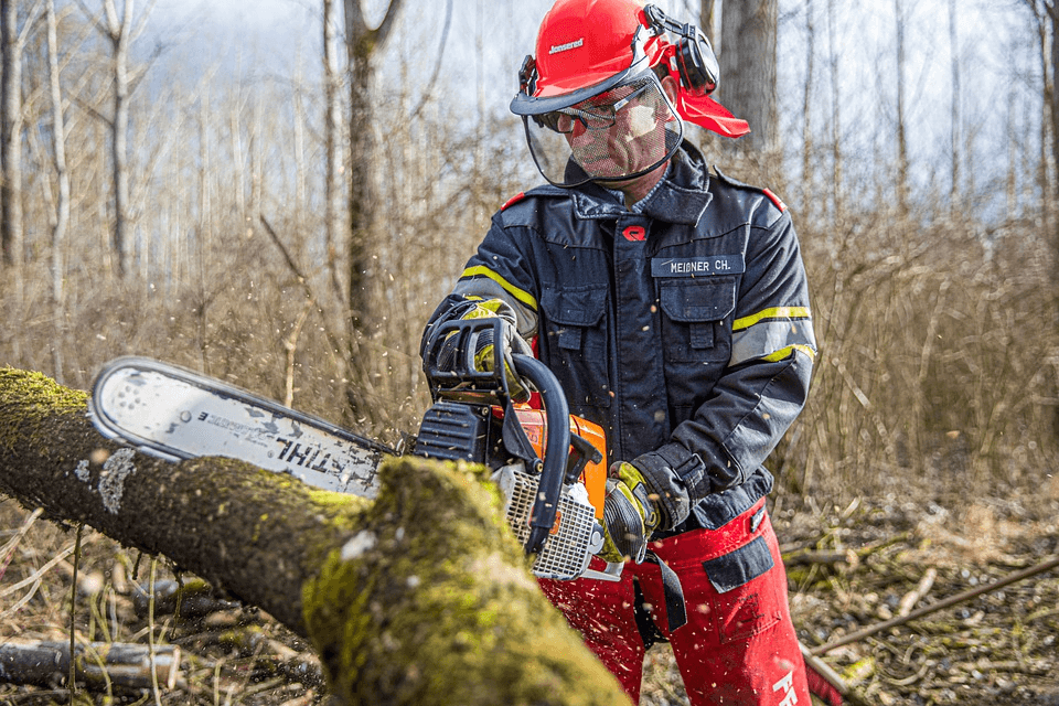 Small Tree Removal Cost