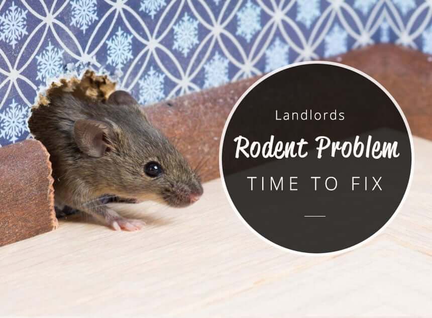 how long landlord has to fix rodent problem