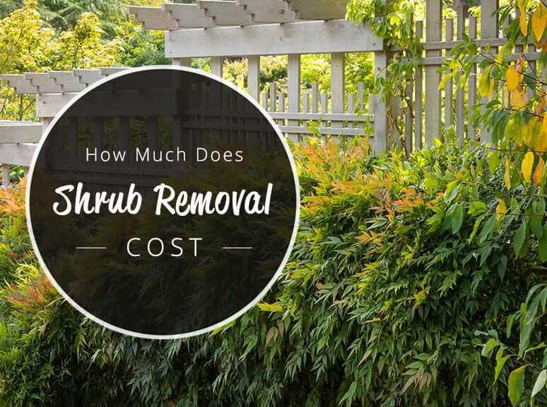 how much does shrub removal cost