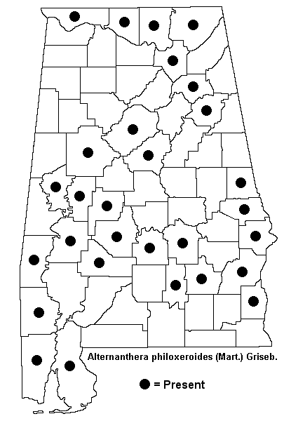 Alternanthera philoxeroides map