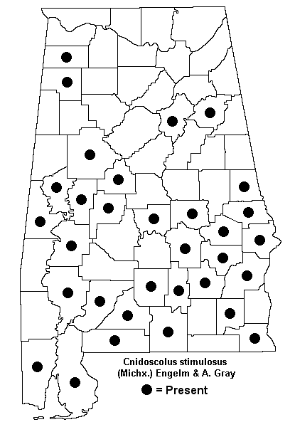 Cnidoscolus_stimulosus_map