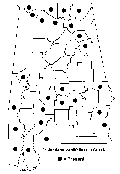 Echinodorus cordifolius map