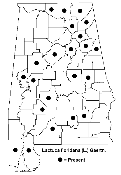 Lactuca floridana map