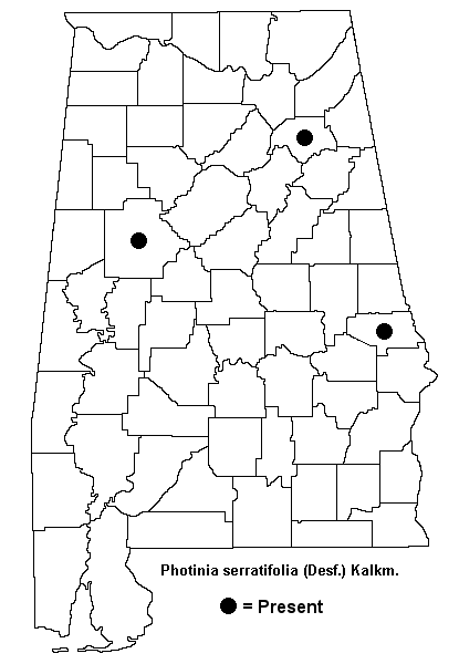 Photinia serratifolia map