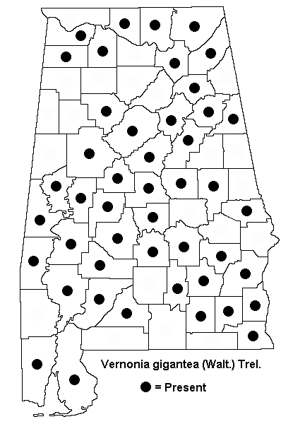 Vernonia_gigantea_map