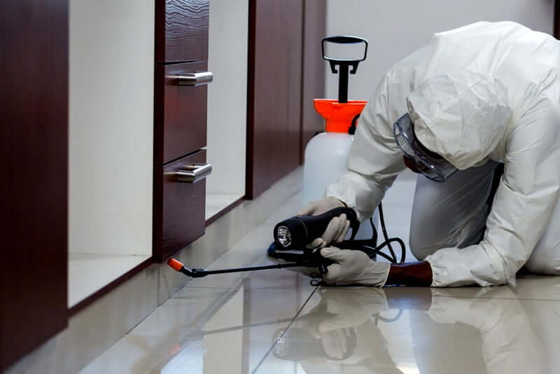 What can a landlord do to prevent pest infestations in properties