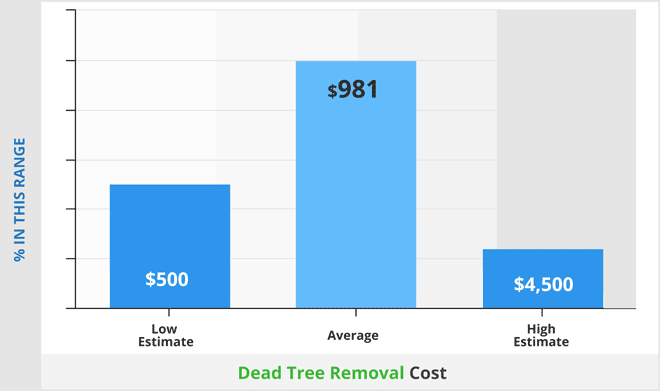 Dead tree removal