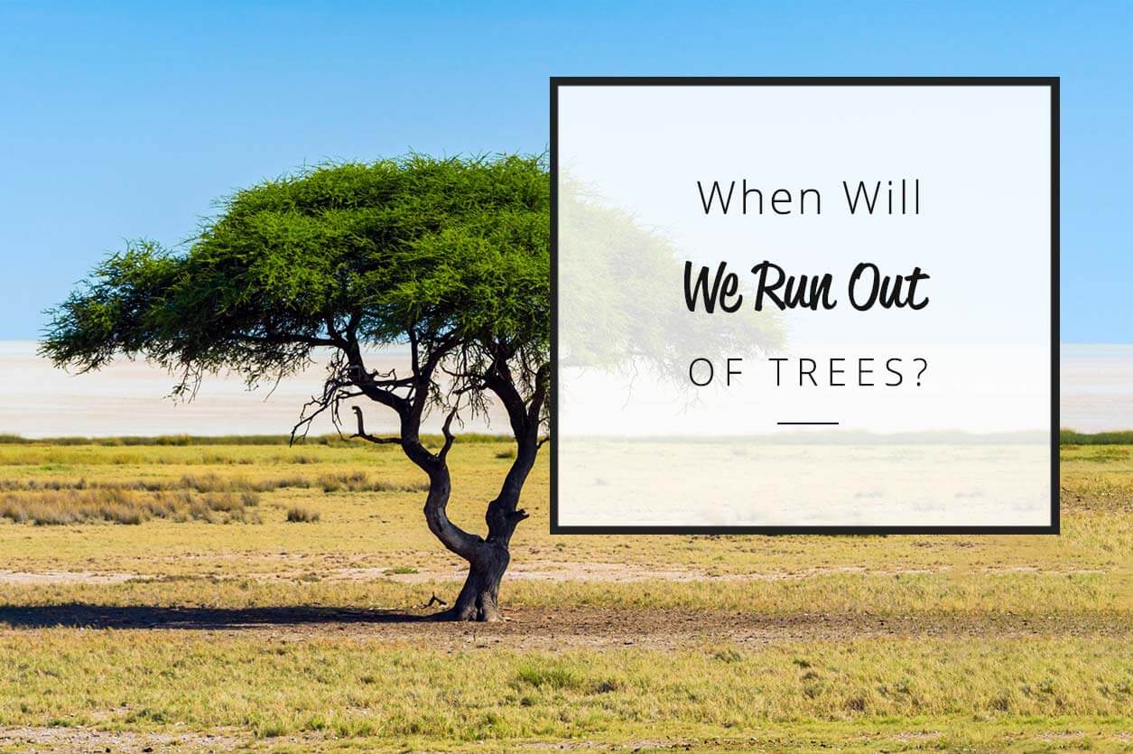 When Will We Run Out Of Trees