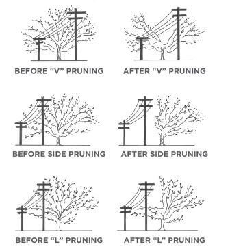 directional pruning styles