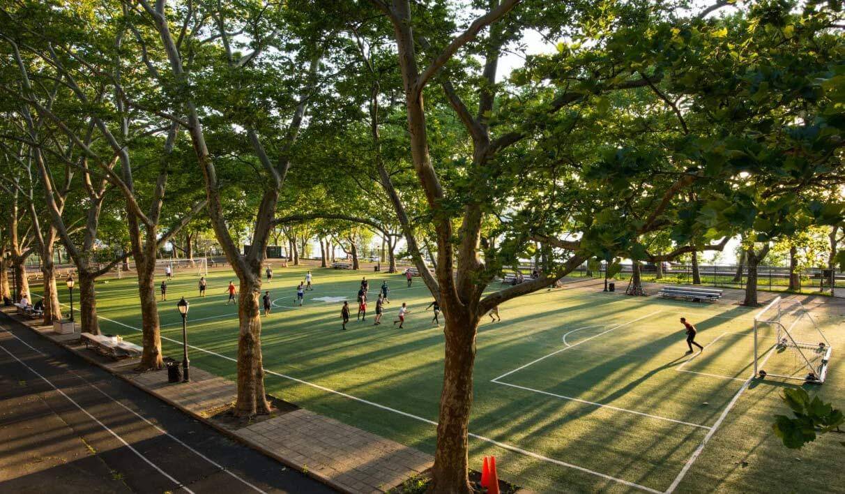 Benefits of a Tree Canopy