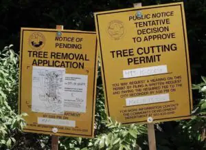 Do I need a permit for tree removal in Vermont