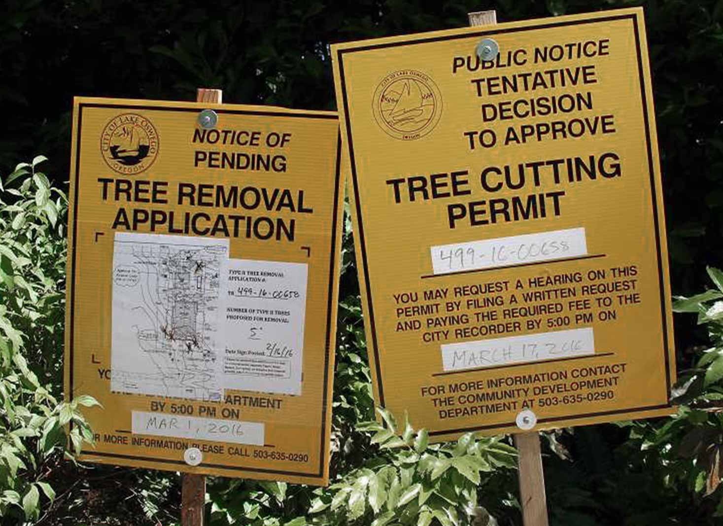 Do I need a permit for tree removal in Vermont