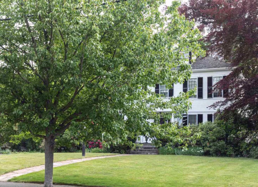 Value of Mature Trees on a Property Property Sale Price Increase?