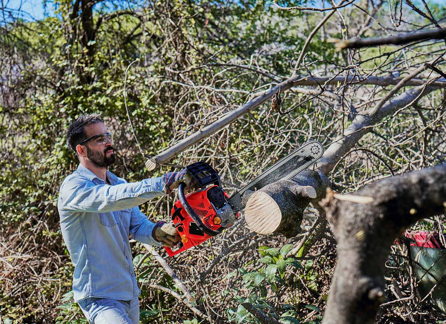 How to Prune a Tree for Maximum Results