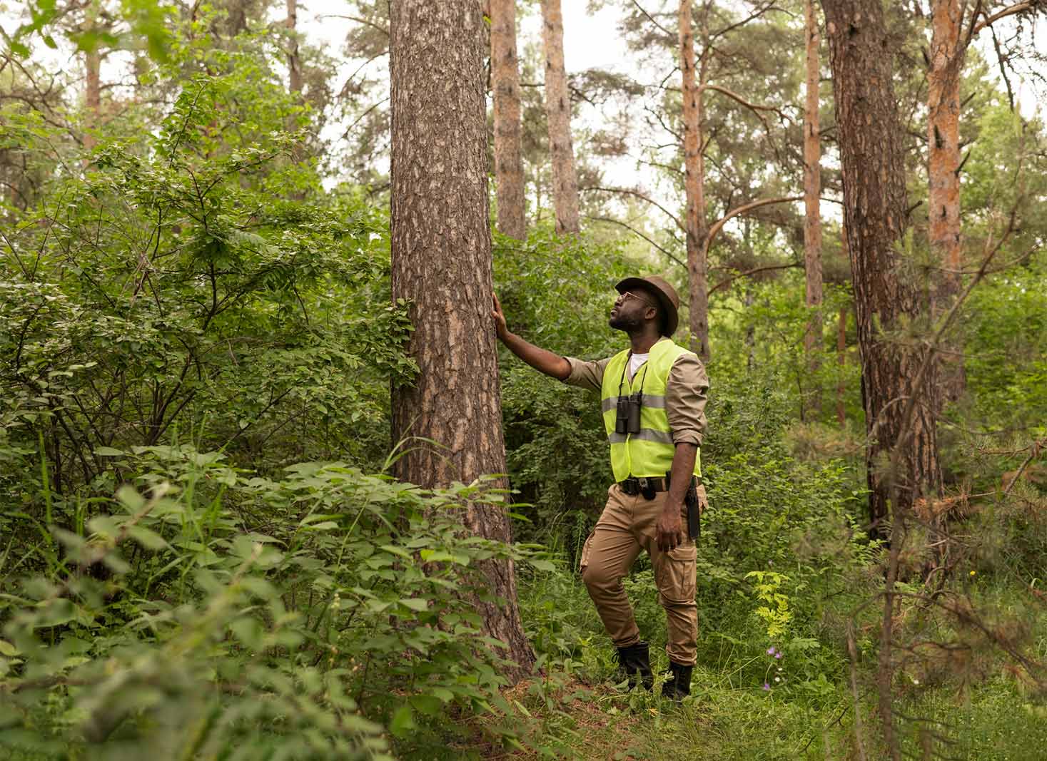 Identifying potential hazards