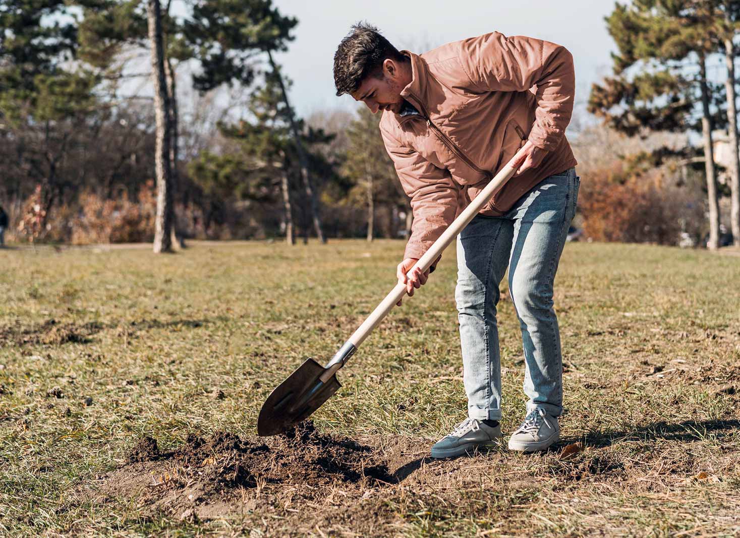 Post Root Removal Landscaping Tips