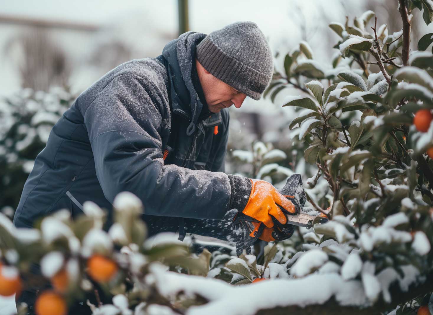 Reviving neglected trees