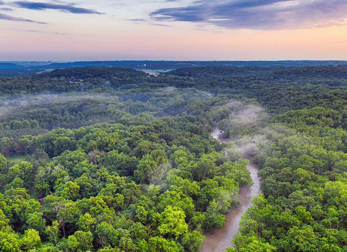 The Lungs of the Earth