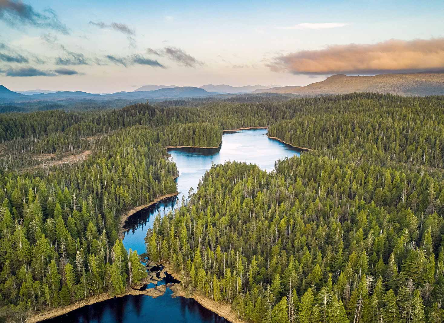 Tongass National Forest