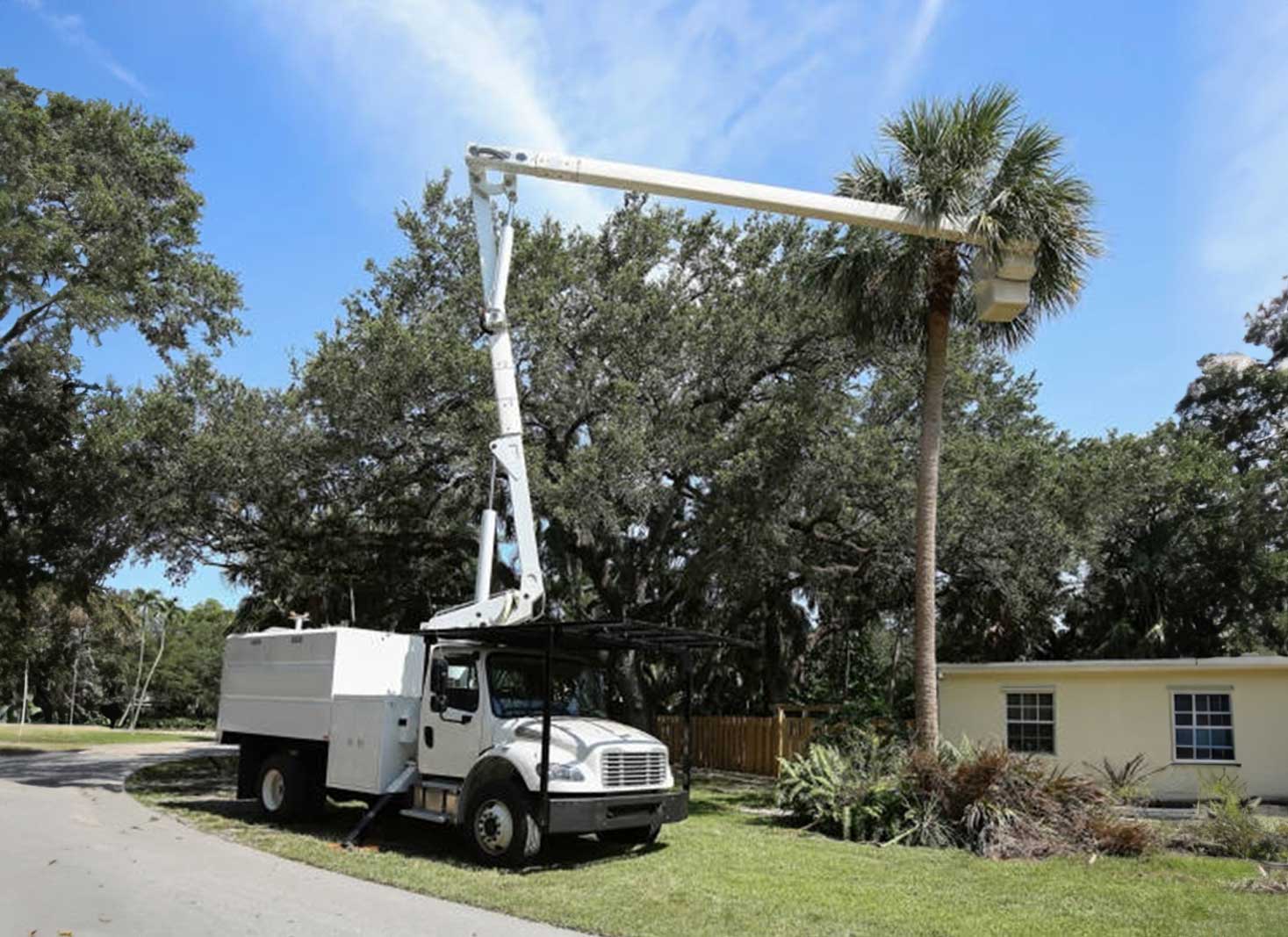 Additional services and costs