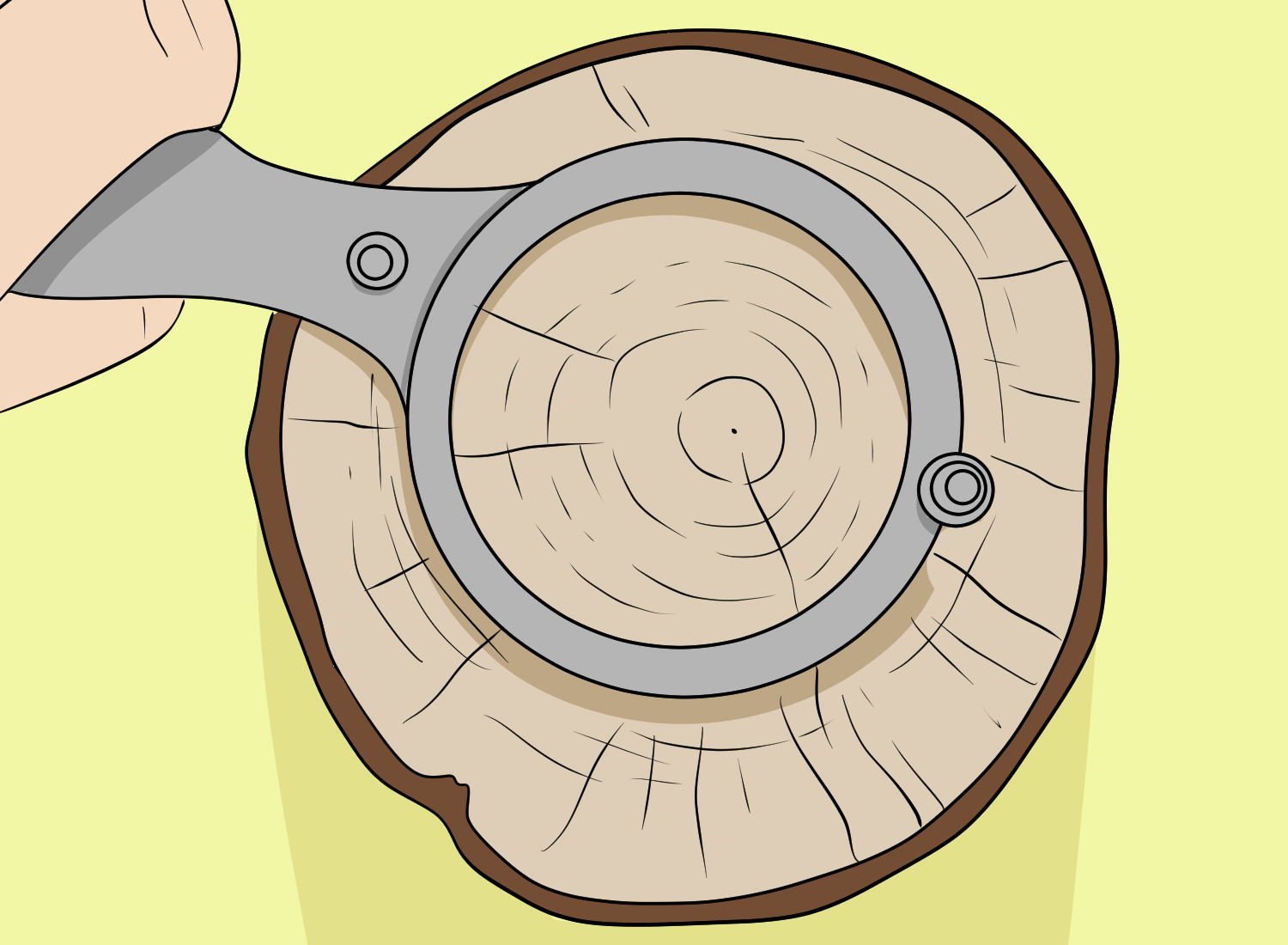 Alternative Methods for Estimating Tree Age