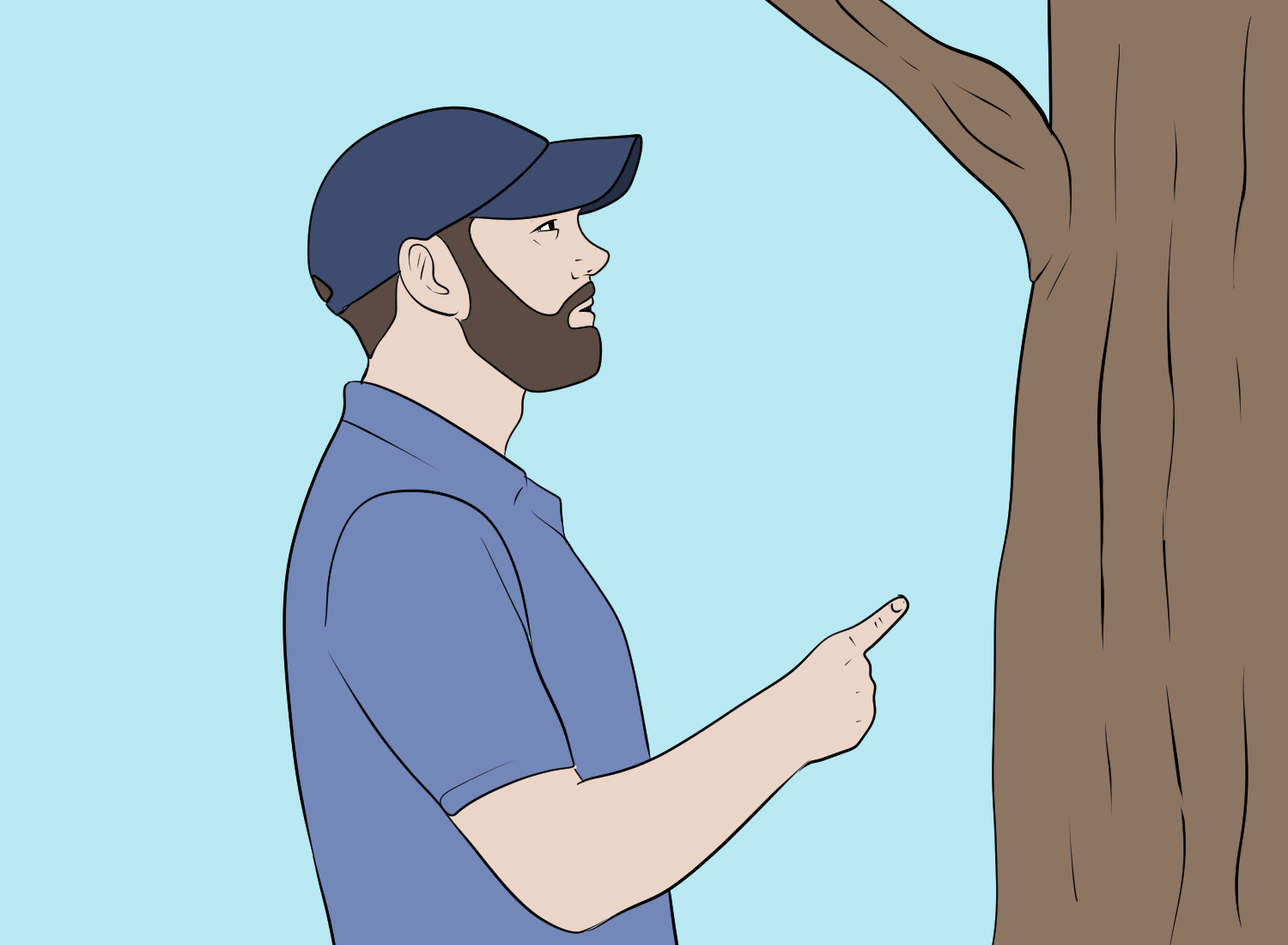 Assessing the Tree