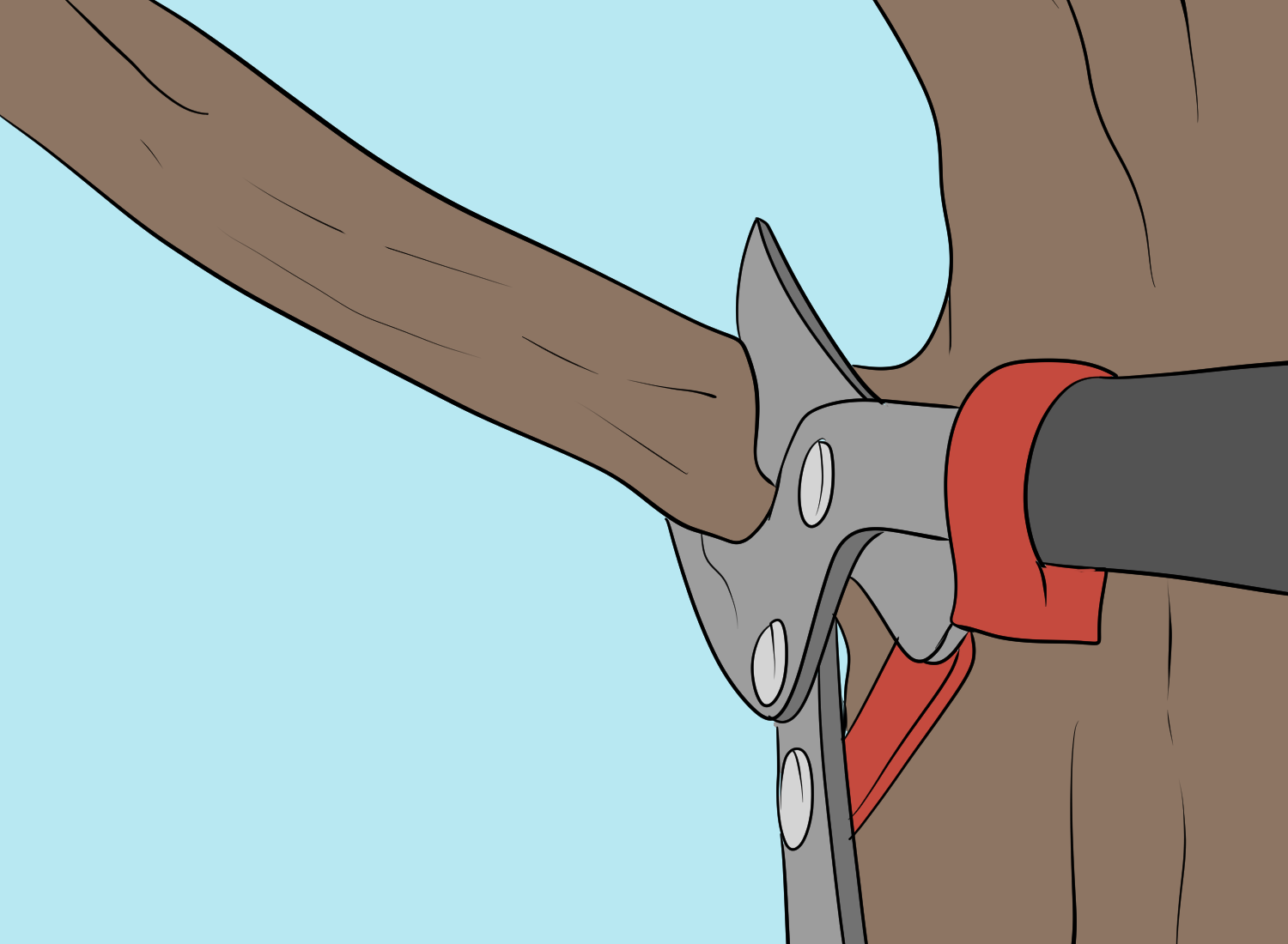 Making the Cuts