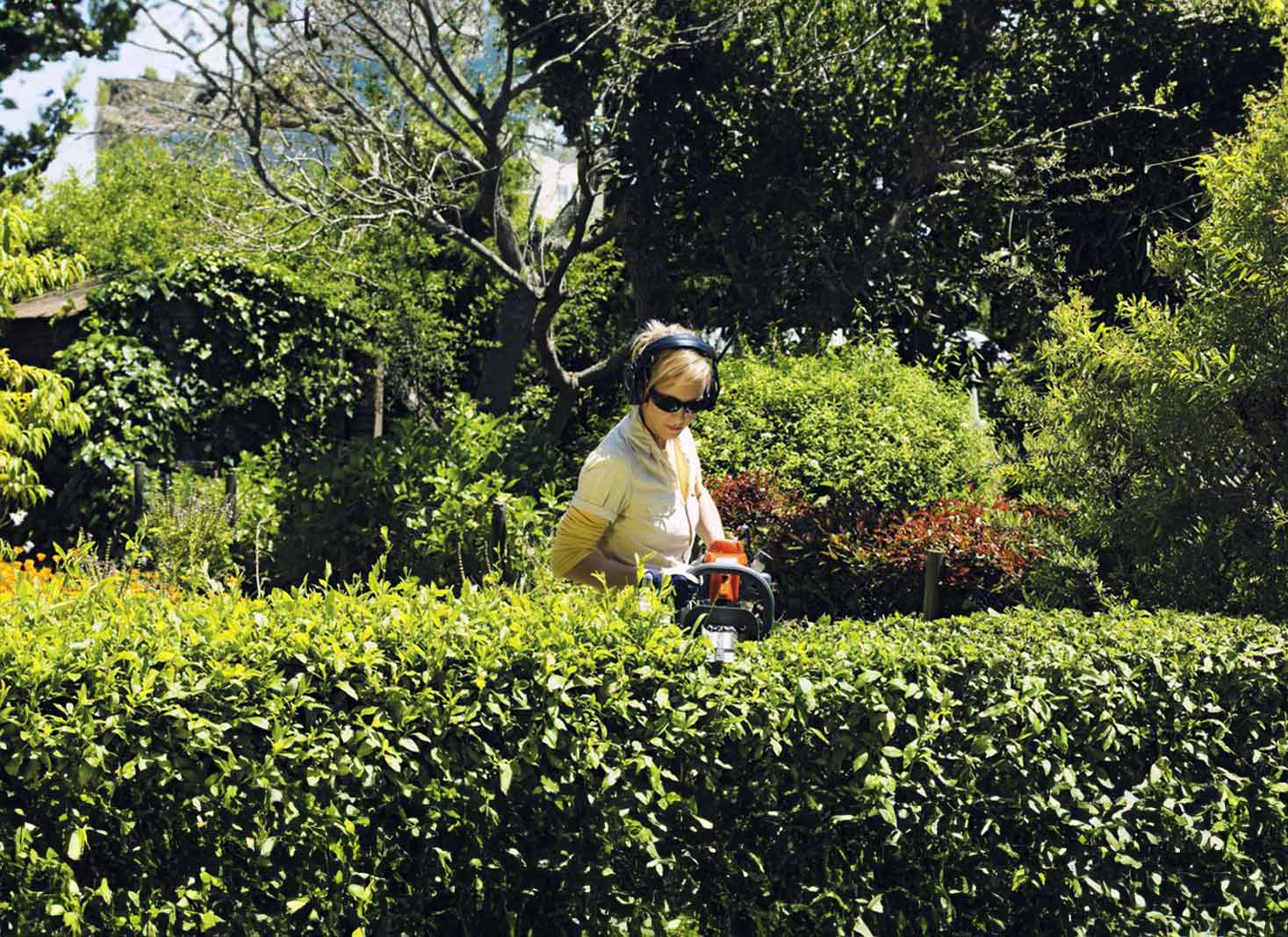 Why is it important to trim hedges