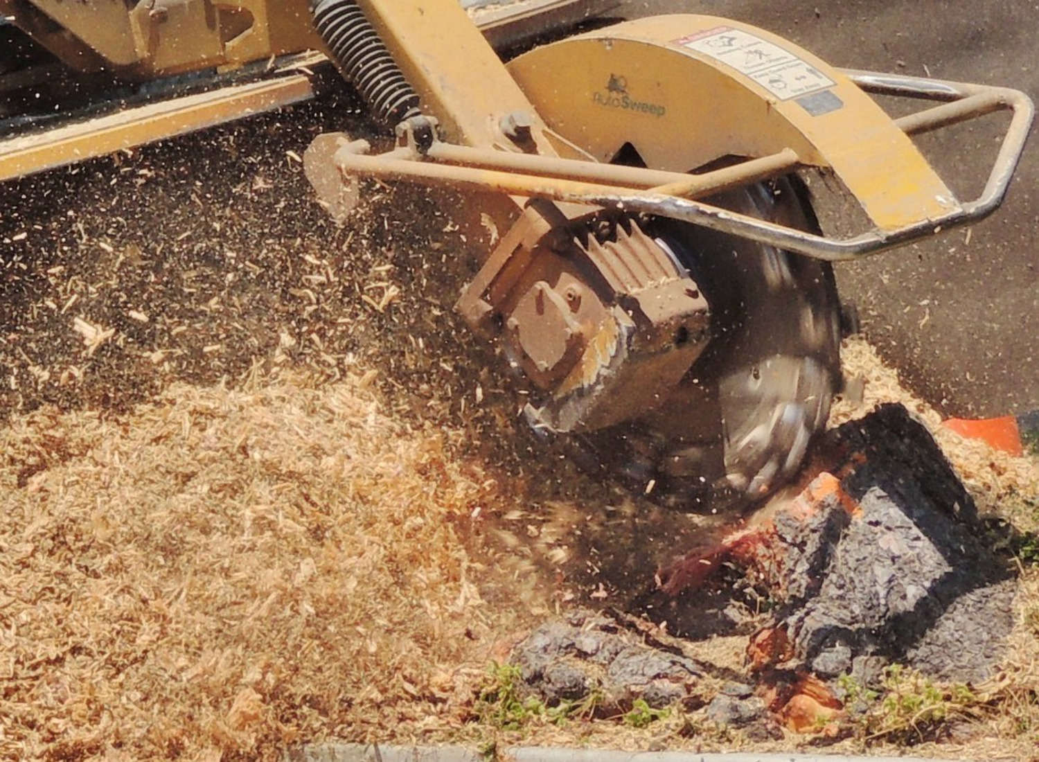 Stump Grinding Costs in Utah