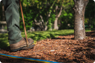 fertilizing