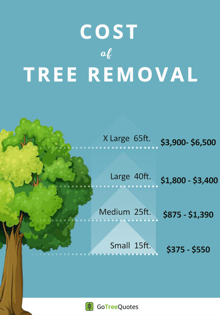 cost of tree removal infographic