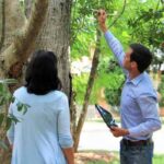 What you need to know before hiring a local arborist