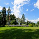 Using A Lawn Care Professional vs DIY